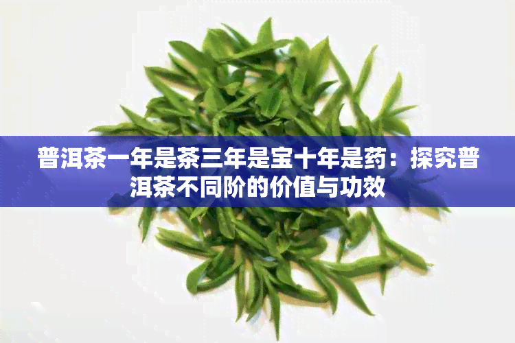 普洱茶一年是茶三年是宝十年是:探究普洱茶不同阶的价值与功效