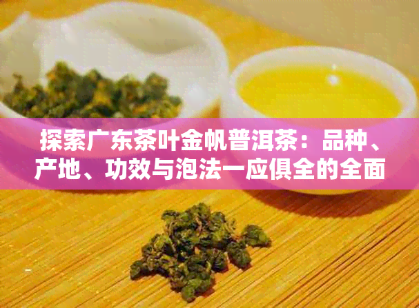 金帆牌普洱茶227克