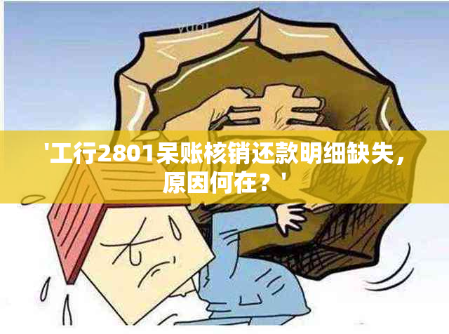 工行2801呆账核销还款没有明细怎么回事