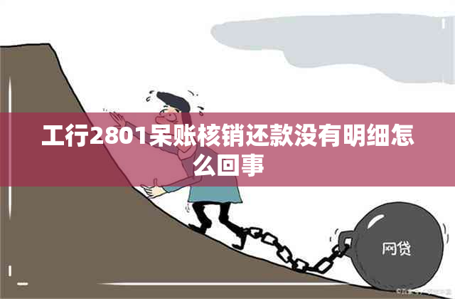 工行2801呆账核销还款没有明细怎么回事