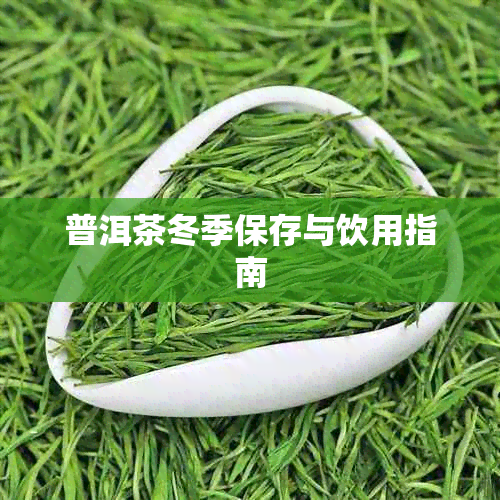 普洱茶冬季保存与饮用指南