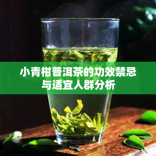 小青柑普洱茶的功效禁忌与适宜人群分析