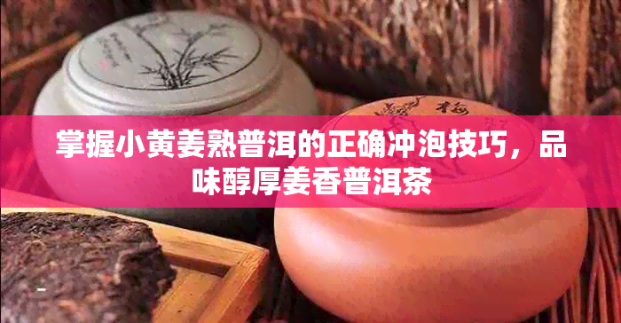 掌握小黄姜熟普洱的正确冲泡技巧,品味醇厚姜香普洱茶