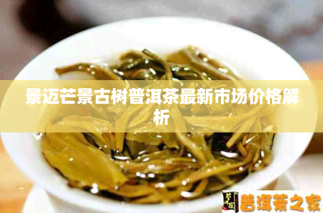 景迈芒景古树普洱茶最新市场价格解析