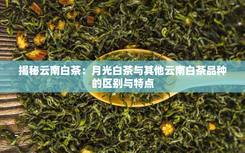 揭秘云南白茶：月光白茶与其他云南白茶品种的区别与特点
