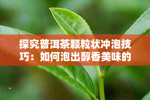 探究普洱茶颗粒状冲泡技巧：如何泡出醇香美味的口感体验