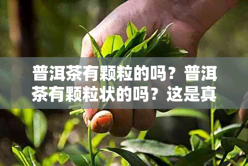普洱茶有颗粒的吗？普洱茶有颗粒状的吗？这是真的吗，能喝吗？
