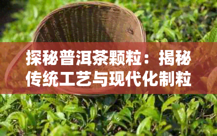 探秘普洱茶颗粒：揭秘传统工艺与现代化制粒流程