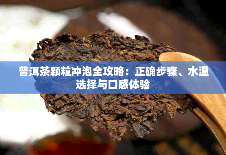 普洱茶颗粒冲泡全攻略：正确步骤、水温选择与口感体验