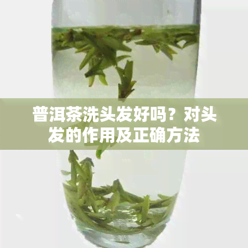 普洱茶洗头发好吗?对头发的作用及正确方法