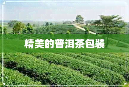 精美的普洱茶包装 精美的普洱茶包装