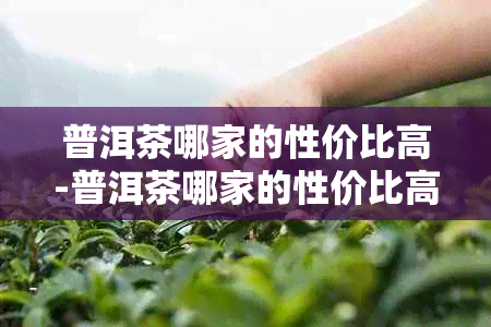 普洱茶哪家的性价比高-普洱茶哪家的性价比高一点