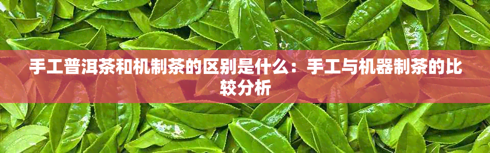 手工普洱茶和机制茶的区别是什么:手工与机器制茶的比较分析
