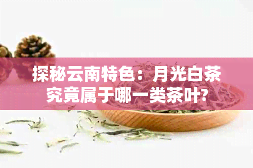 探秘云南特色：月光白茶究竟属于哪一类茶叶?