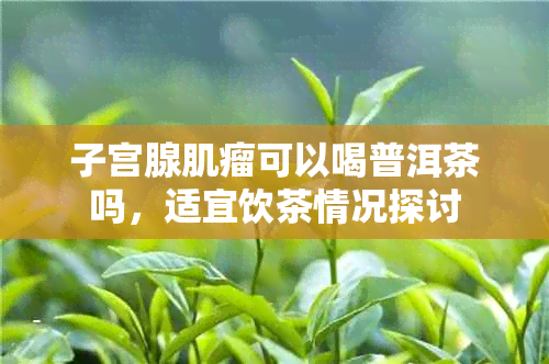 子宫腺肌瘤可以喝普洱茶吗,适宜饮茶情况探讨