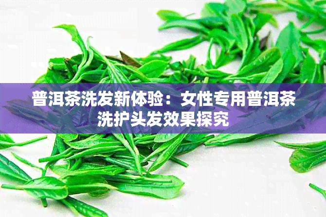 普洱茶洗发新体验:女性专用普洱茶洗护头发效果探究