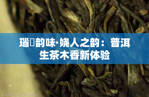 瑙嗛韵味·娆人之韵:普洱生茶木香新体验