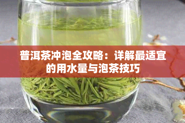 普洱茶冲泡全攻略:详解最适宜的用水量与泡茶技巧