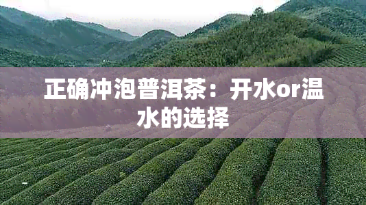 正确冲泡普洱茶:开水or温水的选择