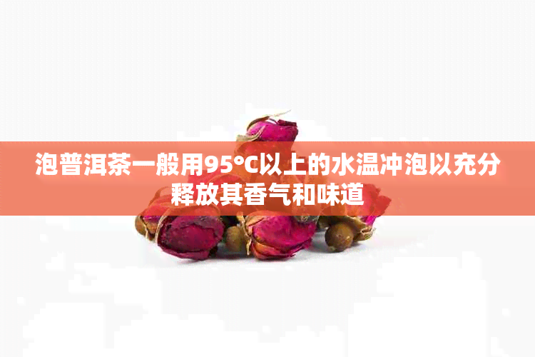 泡普洱茶一般用95℃以上的水温冲泡以充分释放其香气和味道