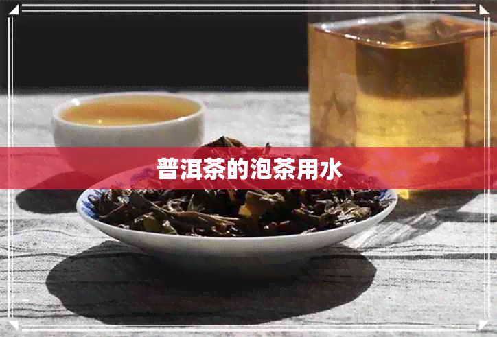 普洱茶的泡茶用水 普洱茶的泡茶用水