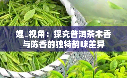 娌夐视角:探究普洱茶木香与陈香的独特韵味差异