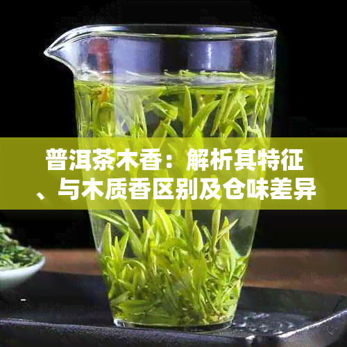 普洱茶木香:解析其特征、与木质香区别及仓味差异的来源