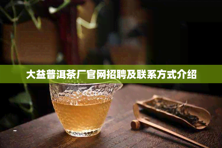 大益普洱茶厂官网招聘及联系方式介绍