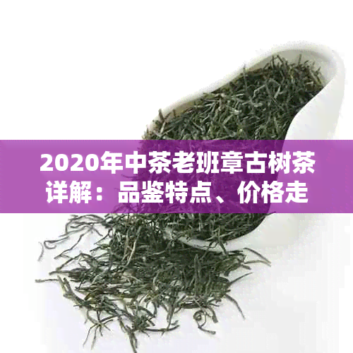 2020年中茶老班章古树茶详解:品鉴特点、价格走势与收藏指南