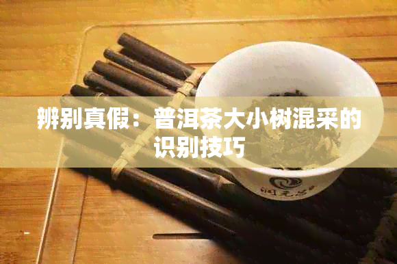 辨别真假:普洱茶大小树混采的识别技巧