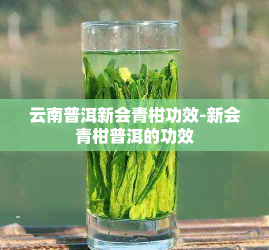 云南普洱新会青柑功效-新会青柑普洱的功效