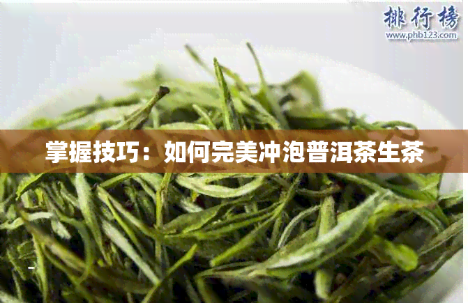 掌握技巧:如何完美冲泡普洱茶生茶