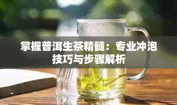 掌握普洱生茶精髓:专业冲泡技巧与步骤解析
