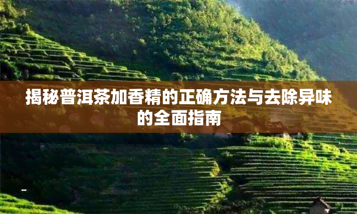 揭秘普洱茶加香精的正确方法与去除异味的全面指南