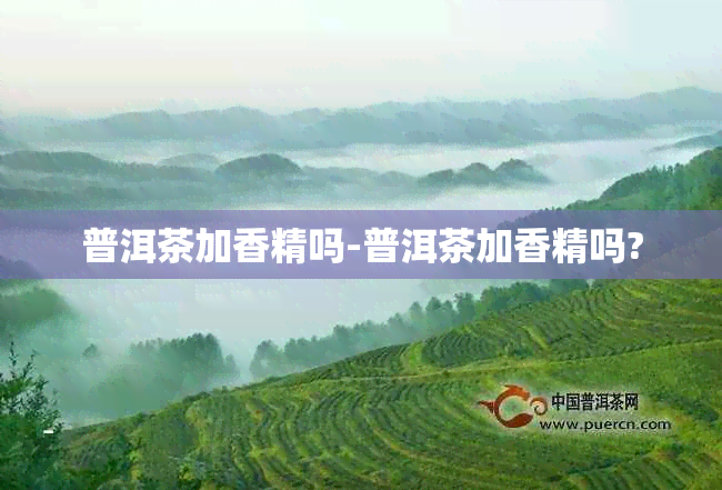 普洱茶加香精吗-普洱茶加香精吗?