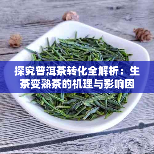 探究普洱茶转化全解析:生茶变熟茶的机理与影响因素
