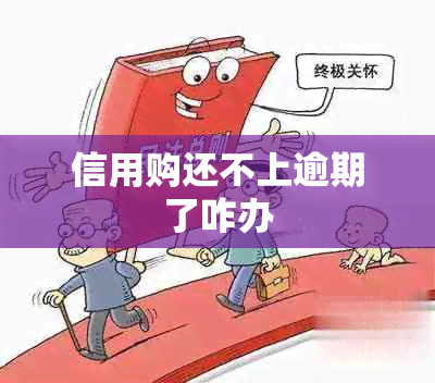 信用购还不上逾期了咋办