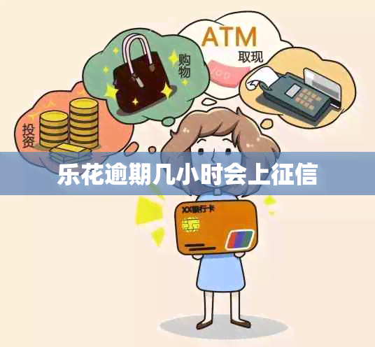 乐花逾期几小时会上
