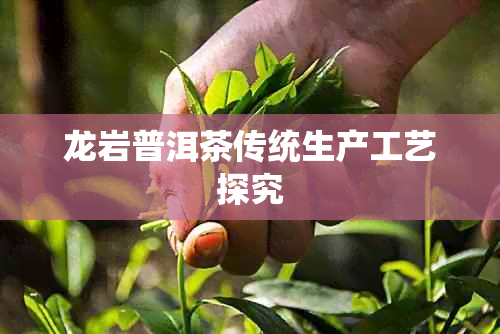 龙岩普洱茶传统生产工艺探究
