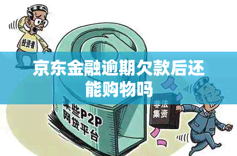 京东金融逾期欠款后还能购物吗