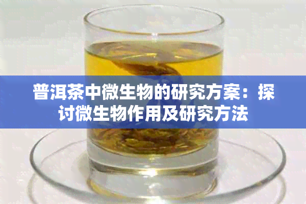普洱茶中微生物的研究方案：探讨微生物作用及研究方法