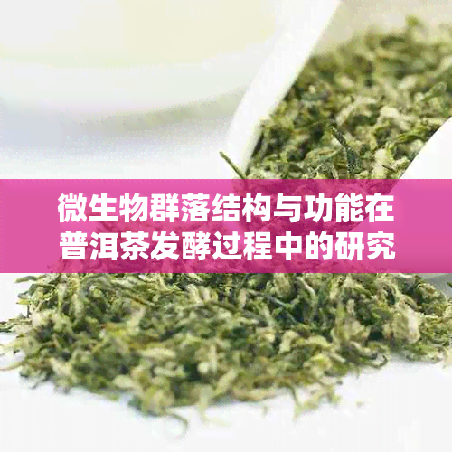 微生物群落结构与功能在普洱茶发酵过程中的研究