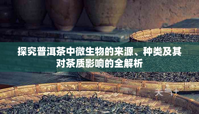 探究普洱茶中微生物的来源、种类及其对茶质影响的全解析