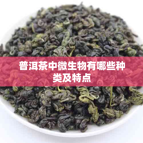 普洱茶中微生物有哪些种类及特点