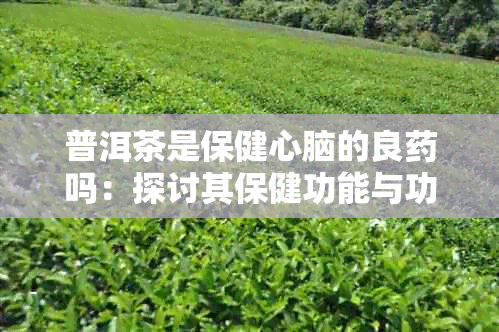 普洱茶是保健心脑的良吗：探讨其保健功能与功效