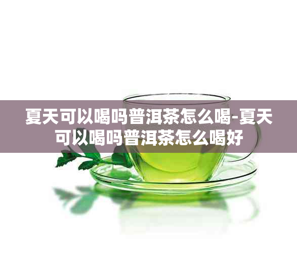 夏天可以喝吗普洱茶怎么喝-夏天可以喝吗普洱茶怎么喝好