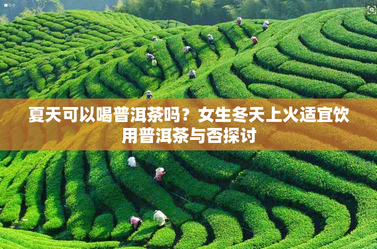 夏天可以喝普洱茶吗？女生冬天上火适宜饮用普洱茶与否探讨