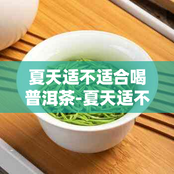 夏天适不适合喝普洱茶-夏天适不适合喝普洱茶呢