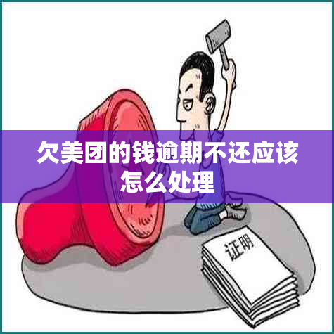 欠美团的钱逾期不还应该怎么处理