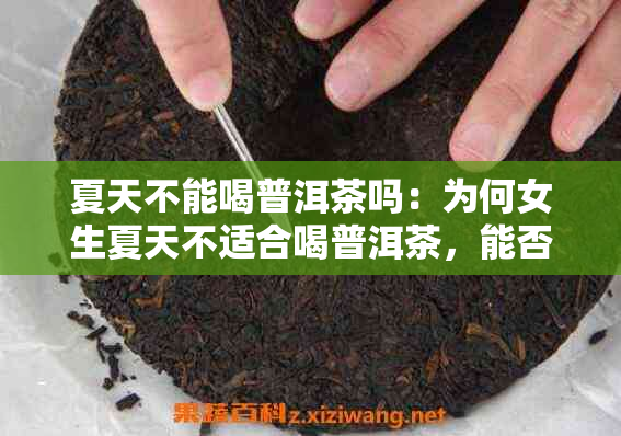 夏天不能喝普洱茶吗：为何女生夏天不适合喝普洱茶，能否饮用解析